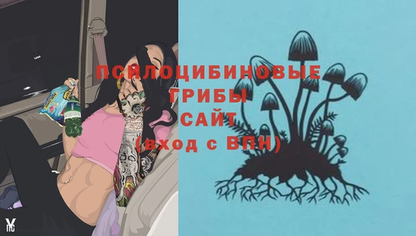 дурь Дмитровск