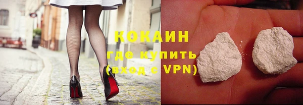 мдпв Дмитриев