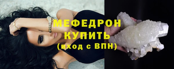 мдпв Дмитриев