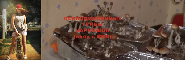 не бодяженный Дмитров
