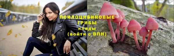 дурь Дмитровск