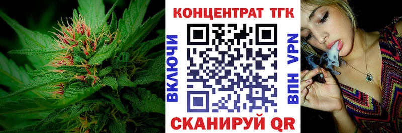 Купить где  Электрогорск  ТГК концентрат 