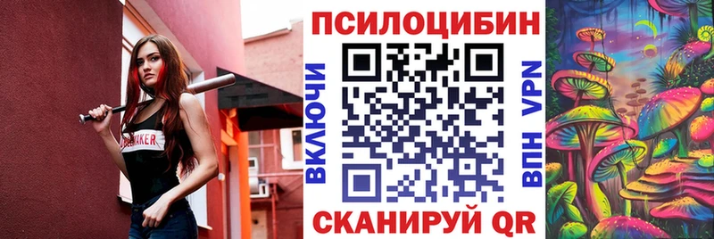 Купить  Электрогорск  Псилоцибиновые грибы Psilocybe 